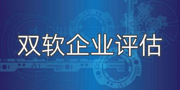 雙軟企業評估申請指南 雙軟企業評估申請指南