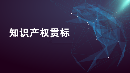  知識產權貫標的申報要求？