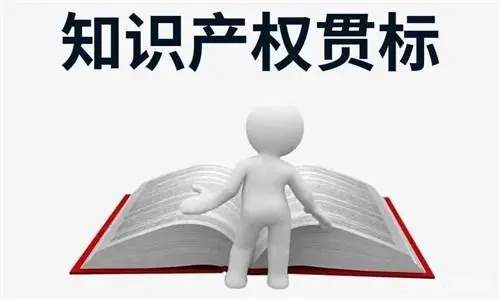 知識產權貫標的主要內容有哪些？