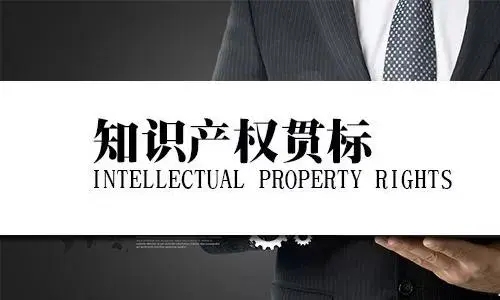 知識產權貫標的申報流程？