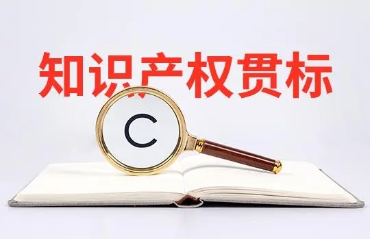 知識產權貫標補貼是怎么規定的？