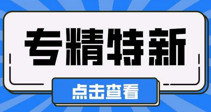 專精特新項目
